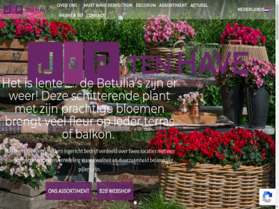 -518909 0174 1 18 2 2026 22 4 5 9 actueel assortiment automatiser b2b balkon bedrijf begonia belangrijk belov benieuwd betulia binn bloem brengt buit complet contact copyright crer decorum deventer duurzam e eig eigenar engel english fleur ga gekweekt gerard geschiedenis gespecialiseerd gloxinia grac groen hav ieder ingericht inhoud j joy kbit kwaliteit laatst lent locaties medewerker menu modern must nederland nieuw nov onz p par passie peach perfectie perfection peter pijler pink plant poinsettia potplant potplantenbedrijf prachtig product reacties red resulteert s sam schitter schoonheid serena sonata spot t teelt ten terras twee uiteind uitgelicht uitgeschakeld uniek valentino verdeeld veredel verkoop@jenptenhave.nl voornam waarvan war webshop wer werk wet wij