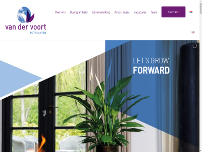 airsopureplant and anthurium assortiment azalea contact decorumplantsflower duurzam forward ga grow grower hom inhoud instagram let member potplant s samenwerk spathiphyllum team vacatures volg voort