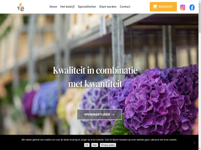 +31 .. 00 04 040 07 09 10 14 15 16 18 20 2025 2231bz 3 30 60 68 85 aalsmer advies afhal akkoord all allround andersom app assortiment bedrijf bekijk belangrijk bent beschik best besteld besteldag bestell bijbehor binn blijv bloem bloemengroothandel bloemengroothandel.nl bloemenveil box brows bv carry cash colombia combinatie commissionair complet contact cookies d0.01 daarbij daarna daarnaast dag dagver denk deskund dienst dinsdag direct diver donderdag download ecuador een eenvoud eig eindelos ervar expertises flora gat gebruik gemak gepassioneerd geslot gespecialiseerd grag group hoevel hom imago import info@onefloragroup.com info@ve.nl inlogcod italie jou jouw kennis kiez kijk klant klar klik kom koopt kop koppel kwaliteit kwantiteit lan lang les lever locatie lux maandag mak makkelijk medewerker meenem mogelijk naaldwijk nee o.a ok one onz openingstijd overzicht past plant policy privacy rijnsburg ruim selecter servic shop snell soort specialiteit stan sub sub-shop tel toegang uitstek vakbekwam vakkund valt vandag vanzelfsprek ve veiling vel verder verhof verschill via vmp volled voorrad voorzien vrijdag we webshop websit weg wens wij woensdag zaterdag zer zien zondag zorg