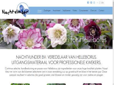 06 12873475 2461 28056499 61 65 aanpak aar akerbom assortiment bezoekadres bloei bloem bv consument contact contactperson continue doubl e e-mail eerst ell ellen@double-ellen.nl exclusief for gevoel goed groei groeikracht groothandel handbestuiv helleborus hog hom ingredient jar kleur kvk kwaliteit kweker les mail media minder naast nachtvlinder nederland nl o.a onz paradijsweg passie passion plag plant plugg postadres pot pretty professionel resulteert selecter selectie selecties snel snijbloem social telefon ter tip tl uitgangsmateriaal veredel veredelar verkoopadress volg vorm we x zaailing zad ziektes