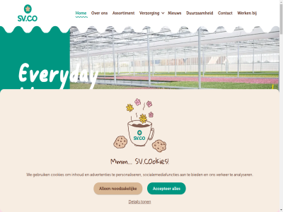 +31 0 13 174 19 2025 23 2678 27 448 5 515 6 9 a accepter advertenties alaska allen ambacht analyser assortiment bekend bekijk beschikt bezoekadres bied biedt blijv bloeiend blooming bred burgerdijkseweg by by.co caterar celosia certificat certificer check chique chrysant cm collectie consument contact cookie cookies detail deutsch developed diver doelgroep doubl duurzam economie elegantie elkar english euph evenwicht everyday extrem favorita flavour floral français gap gebruik gecertificeerd gedrev gekweekt goed grasp hal hel hom hot houdbar houdt identiteit ieder info info@svco.nl inhoud initiatiev innovatie innovation instagram inzet italiano kalanchoe kalanchoes keuk kijkj kraft kwaliteit kwek kweker lier locaties lov lp luxuez maatwerk mad marktgericht maximal men milieu mini missie mix mmm mogelijk moment mps nederland nieuw noodzak on onderscheidt onszelf ontdek ontvang onz over paper partner peopl personaliser pink planet poinsetta poinsettia potmat potplant primula princettia privacy product productmerk profit publiek quality s sam samenwerk scherp scor singl slev socialemediafuncties speciaal sq stat statement streeft sv.co sv.collectie sv.coloursleeve sv.consumer sv.cookies svco tel toe toegank ton toonaangev uitmunt uitstral uniek us verker verklar verzorg visie voeg volg voorproefj vrolijk waarbij waard waardor war we wereld werk whit wij will without yellow zacht zowel