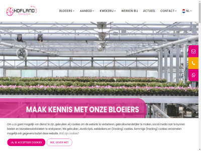 +31 0 174 1899 2026 2671 46 5 58 6 62 87 aanbod aangeslot accepter actueel algemen analyser argyranthemum bedrijf bedrijfsprocess beschik bezoekersstatistiek biden bied bijna bloeier broekweg buit calibrachoa checkies color company contact cookies decorum dianthus dienst direct disclaimer duurzam dv eig enig floriday flower ga gebruik gebruiksvriendelijker gecertificeerd gegeven gevestigd glastuinbouwbedrijf goed groeiend hectar hofland info@hoflandfloweringplants.nl informel it jaarrond javascript jouw kass kennis kiez kleur kleurrijk kweekt kwek kweker kwekerij lang liever mak media met mogelijk mps multi n naaldwijk nee nemesia nic nl onderdel ontdek ontwikkel onz pl plant privacybeleid recycl scaevola schlumbergera sedex seizoensgebond social sommig stekmateriaal tel to tracking va vanaf verbeter veredel verzamel volop voorwaard vrolijk waarom we webbaken websit wereld werk werksfer westland wij you