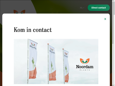 +31 1 174 2691nc 272 34 412 432 90 978 administratie bagijneland bank bel berek best bladgroent blijft btw carrièr contact contactgegeven ding direct een even gev gezond goed grag gravenzand groenteplant info@noordam.nl inkoopfacturen@noordam.nl jar jong klar kom kvk mail n nl nl45rabo0373205872 nl802371711b01 noordam opkwek opnem partner plant rout s s-gravenzand sluit stan start venster verdien vindt voorsprong vruchtgewass war we zit