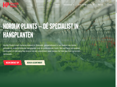 0183 14 1981 303 31.000 4254 5 8c aanbod aeschynanthus algemen assortiment begon bekend bekijk bestat bestrijd beteken betrouw biesocial bijban binn biologisch blijf blinkend bloei bouw bred constant contact continu dankzij de decoratiev duurzam e echt eig eigenar eindproduct energieopwek energiezuin enthousiast exclusiev extra flexibel focus focuss garander gebeurt gecontroleerd gespecialiseerd gewerkt gezond gloriosa grag groen hangplant hel herken hom hoogt hordijk hoya info@hordijkplants.nl ingericht inzet jaarrond jar jij jurian jurian@hordijkplants.nl karaktervoll kas kass klant kooikamp kwaliteit kweker laatst les leukst lever lez linkjes lipstickplant lj luchtig m modern nem nieuw omgev onderscheid ongever ontdek ontwikkel onz ooit opgebouwd opnem opvall plant positie potplantenkwekerij privacybeleid producer productontwikkel regelar rhipsalis richt ruim samengesteld schal scholier schon schoonmak scindapsus segment sierwaard sind sleeuwijk specialist specialiteit st stek sterk t teelt teeltproces toekomstgericht uitgegroeid uitstral uniek uniformiteit vacatures vakmanschap vanaf verfijnd vertrouw vinger volled voorman voorwaard voorzien waardor waarom war we websit weekendhulp wel werkwijz wet wij will zoek zorg zorgt zorgvuld