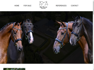 +31 2 2025 249 366 606 612 654 7957 820 a accommodation addres all amateur and anton beautiful can contact email exclusiv for high high-quality hom horses info@dressage.nl looman marissink matty nb netherland offer phon professional quality references sal sales show specialized stabl stables stapelerweg the trained training we well well-trained welltrained wijk your