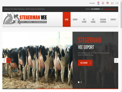 +31 0 1 10 14 2015 2016 25 26 5 54900403 6 aanwez afwikkel agro agro-sector all april bedrijf bedrijv bent beur bezoek binn buit centrum contact duit e e-mail engel epi ervar europa export exporter fok fran gebruiksvee gehoud gestag gevuld goed grot handel hart hom hoogwaard i info@stegermanvee.nl itailiaan jar jarenlang kalver kom land landbouwbeur languag les maart mail meerder mei meknes modern nederland net nieuw o onlin pagina plat qompassie r registratie ruim runder s sector siam sit slachtrunder stat stegerman tal telefon vee vel verhandel verkop verschill verwaard verzamel verzamelcentrum verzorg vlot voorzien webdesign websit welkom wij