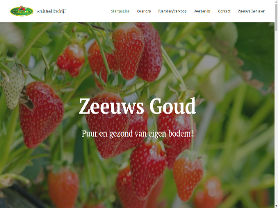 +31 22 25 28 31 38 6 76 90 92 aangaand aansluit aantal aardbei agrarisch agricultural alternatiev assortiment ban bedrijf bedrijfsleider bedrijv beginn belang beschik bess binn biologisch bodem bram certificatie chemisch co co-eigenar contact dienst diensten/verkoop direct doe drie drukt duurzam eig eigenar eis europes even exam extra familiebedrijf fausta framboz fruit fruitmaster fruitteeltbedrijf ga gecertificeerd gehanteerd geldt gemotiveerd geniet geplukt gesteld gevestigd gewasbescherm gezond global globalgap god goud grag groothandel half help informatie ingezet inschrijfformulier iris jar jarenlang kers klant klein kleinfruit kun kwaliteit kwaliteitssystem landschap laurenc les leuk lever leverancier lijkt lokal mei mens middel milieu milieuvriend minicamp minimal naast natur neemt nem nodig omgang omringd onderan onderstaand onz oogst opslag organism pagina passie plag pluk prachtig practic pruim pur restaurant rod schadelijk schakel sector slag soort sorter startpagina stat strategie strijd supermarkt tankstation teelt teeltmethod tekst toewijd tom ton transport uiteraard uitsluit vakantiewerk vall verantwoord verband verkop verpak verschill vijand voedselveil vroeg waarbij war we weg wek welkom werk wij zeeland zeeuw zeeuwsgoud zoek zomer