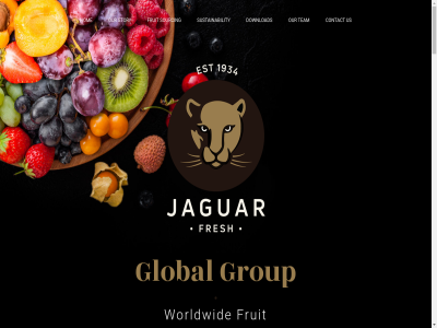 +31 0 180 2019 2988 500 510 750 90a 90d about accord add africa all amaz and are brand busines can china company contact customer deliver dg download e egypt europ every f follow fresh fruit global goes group hom how info@jaguartfc.nl instagram interested jaguar jaguartfc kivit know manages mor netherland offer offic offices on our partner perfection peru policies produc product ridderkerk sales selderijweg services sourcing south specialist specification story supply sustainability t team tfc the tim to trusted us value warehous world worldwid your