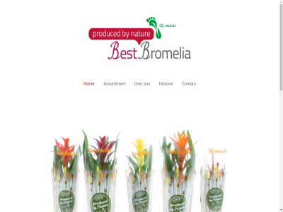 +31 15 2 2021 2026 2641bj 3693310 assortiment best bijbehor bromelia combinaties complet contact cover direct e e-mail een facebok ga gehel historie hom hoofdinhoud info@bestbromelia.nl instagram keramiek kleurenbombinatie mail mak mix nootdorpseweg pijnacker pot prachtig schitter sierhoez soort strak telefon verkrijg verschill wellicht wij x
