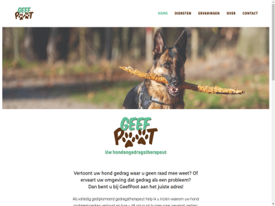 -1 1 6 aanbied aanpak adres advies afsprak astrid basis bent bereik best buig combinatie contact dagelijk dankjewel dienst direct doe dominant ervaart ervar evolueert gebaseerd gebruikt gediplomeerd gedraagt gedrag gedragstherapeut geefpot gegev gekreg gemaakt gerust gewenst geword graf grot handvat hanter happ hel help hom hond hondengedragstherapeut inmiddel inzien juist kennis kies kijk krijg kunt kwam lang leeftijd leest ler les loopt maand mak manier mee meerder mens middel minder neiging nem omga omgev onrust onz oud overbreng past person pol positiev praktisch prober probleemgedrag problem puppy puppy-train puppypakket rad relatie resultat ruby rustiger sam situatie sjoerd spel strat terecht thuis tip training uitgelegd verander verbeter versterk vertoont vertrouw voel volled vrag waarom waarvor war websit welk werk werkwijz wet wij wilt zelfverzekerder zie