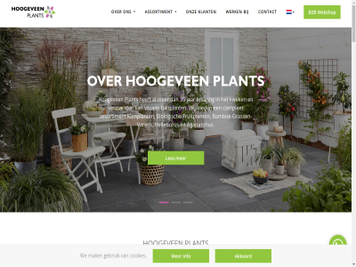 0172 1 100 13 14 2 2026 2030 235 2391pz 3 39 550.000 790 80 accent agapanthus akkoord allen alternatiev app assortiment b2b balkon begrip behandel belangrijk beplantingsplan betrouw bijdrag bio biologisch blij bloeiend bloem bloemhoofd bolvorm border borderplant bred buitenplek by categorieen climber complet contact cookies denemarkenlan dier doet dorp drag duurzam eerlijk eig eindeloz elegras elk ervar favoriet fleur floral follow forever fruit gebruik gecertificeerd geeft gek geleverd geluk gepersonaliseerd gerecycled gev god goed grag gren grijs groen grot hazerswoud hazerswoude-dorp hecht helleborus hello help hen hierbij holland hoogeven hoort ieder iederen impact implementer info info@hoogeveenplants.nl innovatief innovation instagram integriteit jar jouw juist kernwaard keuz kies klant klar kleur klimaatneutral klimat klimmer klus kwaliteit kwaliteitsgericht kwek les lever leverancier liefhebber locaties m m2 mak manier medewerker men mens meter minder minnend missie mogelijk mooi namelijk natur nederland neutral on onderdel onmis ontdek onz oploss opvall partner patio person plant plastic positiev privacybeleid producer product productie productieproces relaties respect rot sam samenstell samenwerk scala seizoen siergrass sister skal slimm smaakvol stel structur tasty team terras thema three toevoeg trouw tuin tuinborder tuinplanner tuinplant tuinstijl up upclimber us verder vereenvoud vergroen vergrot verhal verkeerd verkop versteend vierkant visuel volled we webshop weinig wereld werk wet wij will wintermaand zeg zegt zien zon zorg zull