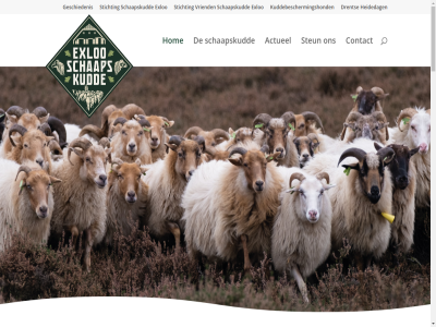 10 2020 250 55a 57 7875 ab actueel april avond behoud belef bestand bezoek bezoekadres binn blijft boer borger borger-odoorn bracht contact contactformulier copyright dagelijk del disclaimer diver dorp drent drenth dwar eigendom enorm erg exloo facebok gan gehuisvest gemeent geschiedenis getaweb gevoel haald heid heidedag heideschap herder hog hom hoofdstrat informatie kooi kral kud kuddebeschermingshond maand maart magnetisch meestal mid molenveld morgen n natuurgebied net november odoorn oktober onz oudsher overnacht partner postadres prachtig privacyverklar provincie raster realisatie rond rondom s sam schaapskooi schaapskud schap scheper schitter som soort staatsbosbeher steun stichting terug trekt uniek uur vanuit veld verblijv vind voltag voss vriend vroeger waarvor wandel wegblijv weiland wer wolv wolvenraster zorgt