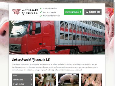 0548 2014 21d 595 7448 888 aanbod accurat b.v bedrijf betrouw bezit bigg contact crer dagelijk eig ervar exclusief geselecteerd goed haarl han hog hom ieder info@varkenshandeltijs.nl informatie inspel jan jar juist klant laatst lang les media mogelijk nieuw ontvang ontwikkeld opbrengst opgaveformulier partner pl plann poggenbeltweg prijs/kwaliteit prijz restbigg rout slachtbigg slachtvarken telefoonnummer teven tijs transport varken varkenshandel verder verwaard verzamelcentrum vleesvarkensbedrijf vrag wagenpark war websit wens wij zeug zeugenprijz zodat