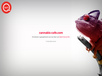2026 b.v cannabis-cafe.com domein geregistreerd internet klant qball