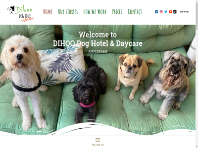 10 12 2010 2023 4 50 57044708 a abl about adopt all alway amaz amsterdam an and animal are assured baby be ben best brand by can car cared caring celebrat concept contact converted day daycar deliver digi dihoo dihoo/design dog doggie doggies dogwalkingservicenl everyth experienc facebok fod follow for friend fun fur get guest happy has hav hom homes hop host hosting hotel how instagram kitch kvk littl lov lucky major mak methodology mission mor most number october our own pet prices professional rais read ready second sell servic shop sinc sitting spoil stories straight summer supplies sur team than thank the their tim to us vegan walking we weekend welcom well will with work world year you your
