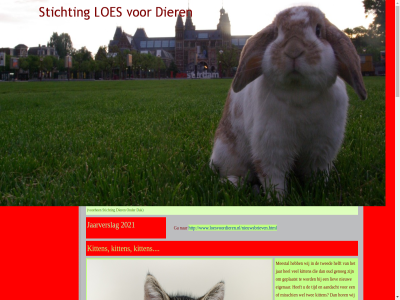 -04 -2017 /nieuwsbrieven.html 0294 2021 27 415 446 aandacht abus adam adam-regel adopter adres adreswijz afstand amsterdam ander bent bereik bericht bezoek bravenet by contact contactformulier contactpagina dak dier dierenart dierenhulp direct donateur donatie doorgev e e-mail eigenar elk email etc facebok form formulier ga gebruik gegeven geld gen genoeg geplaatst gezelschapsdier grag groen hebt hel helft herplaatst hond hor huisdier huiselijk individueel informatie jaarverslag jar kat kattenpagina keuz kijkj kitten klik knaagdier konijn krijg kunt liefdevoll liev link loes mail mak meestal meld minima misschien nam neemt nem nieuw nieuwsbriev nod omstand onderstaand onlin onz opgev opvang oud overmak pagina phishing plaatsbar pleegadres pleeggezinn privacyverklar regel report s situatie snel spam stadspas stichting stip svp telefoonnummer tijd tijdelijk twed twee urgent vakantieopvang vangt vermist verstur via voordel voorhen vul waarop wegen weinig wel wenn werkwijz wij wijz www.loesvoordieren.nl www.loesvoordieren.nl/nieuwsbrieven.html ziek zoek zwerfdier