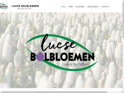 -34248068 06 138 1761 2022 actief am anna assortiment bedrijf bloemboll bolbloem boll contact hom info info@lucsebolbloemen.nl informatie kom luc media mello molenvaart overgenom overnam pagina paulowna peter pot productie vacatures verkop vindt