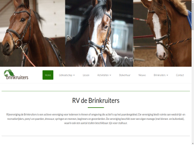 00 08 09 10 12 13 14 15 19 20 20.00 2023 2024 2025 22 27 28 29 2e 30 4 40 40m 5 6 7 9 a.s aantal aanwez accommodatie accommodatiegebruik accomodatiegebruik actief actiev activiteit afgelop afgetrapt afsluit all allen ann april ass baart bak barrag beginner beid beschik beschikt best bestat bewijz biedt binn blef brand brandblusser brandread brandwer brinkruiter buit buitenbak buitenrit carousel carousel-proef clinic contact copyright costum dankzij december deelnemer demonstratie dergelijk deux dien dinsdag doe donderdag donderdagmorg dreigend dressur dressuurles dressuurwedstrijd eerst eig elektra facebok focus foto francis gebracht gebruik gebruikt gekom geleverd gelukk georganiseerd gered gevolg gevorderd gevraagd geweld gezell gezocht ging grag grot had half help ho ho-ho-kerstshow hoewel hom iederen inclusief info@brinkruiters.nl inzet jaarlijk jar jong juli juni kalender kenn ker kerstman kerstshow kijk knhs knol kond kund kur kwaliteit kwam kwantiteit l laatst lag lat led les less lessend lev lid lidmaatchap lidmaatschap lidmaatschapskeuzes lol longeercirkel maandag maneg mee meest men menig menles menn menner middel mistermod moet mogelijk moment mor nachtmerrie nar natur neerzet net nieuw nieuwsbericht nogread nou november ochtend oefen officiel omgebouwd omgev onderl onderread onwer onz organiser oud paard paardengebied paddock parat pas pas-de-deux plaatsing plat pony pony/paardenles ponyles prachtig proef proefgericht proefj proefrondj proev punt read recreatierijder regelmat rijbak rijd rijveren rok rondj ruimt ruiter rv s samengevoegd situates spring springles springwedstrijd stal stalhur stall stalling stalverhur start stat stur succes suiker tijden toch tt uur veilig veren verhuurd verlicht verschill vindt volg voorkom vorig vrij vrijdag vrijdagless vrijwilliger vrijwilligers/leden vrouw waanzinn waarbij waarin waarna wachtlijst we wedstrijd weekend wer werd weread wij will woensdag x z z-proefj zaterdag zeg zet zien zijnread zoal zondag zowel