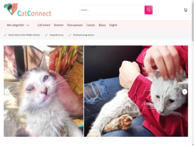 0 1 115 3704 44 aanmeld aanrijd adoptie adres afstand all allen alsmar animal balan bank beginn beschik bestan bic bied biedt bijzonder brengt buitenruimt can catconnect categorieen charity click cod contact country dag damascus deelt del dichter dier dierenopvang directly diver donat donatie donaties doneert doner echt een eenmal eenvoud eig eindelijk elektriciteit elk english eten facebok follow gebrek geld gered gev gevond gewond grag groter hard hart hav hd help hen her hond hop hulp iban if jij jouw kat kat/hond klein kracht kunt kwam land lev locaties maaltijd mak manier medisch menu mid midden-oost moment n nam nem netherland nieuwsbrief nl60trio0254667511 nodig o omstand on ondank onderkom onmis ontwormingsmiddel onz oost oproep opvang overlev par per populatie postal programma r runt s schildpad simpelweg slecht spel sponsor spull stad start sterilisatie sterilisatieprogramma steun steunt stichting strat stuk syria syrie syriè to toegewijd toevlucht triodos trionl2u uitdag uitgehongerd us utrechtseweg uur vangt vast veilig verschil verschill verzamel vind vlooi voedt voedzam volg voorkom voornam vorm vrij vrijwilliger waardig war watervoorzien we webshop will you zeist zelf zet zoal zorg zoud zwak zwar zwerfdier