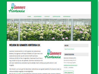 +31 0 10.000 2013 25 25093662 26.000 5161 6 8 a af april arbeidsomstand assortiment b.v bv capell certificat classic contact contactgegeven daarnaast december eigenar eigendom erik@gommershortensia.nl gap gebied gecertificeerd gegeven gestart gewerkt goed gommer groen hom hortensia huurt inmiddel jar kas kwaliteit kwekerij lever loopt m2 mark mee milieuvriend mogelijk moment mps nieuw omstand oost opal opkwek particulier richt richtlijn snijhortensia sprang sprang-capell streng strev uitsluit verkop verzorg volg we welkom wendelnesseweg wereld za zakelijk