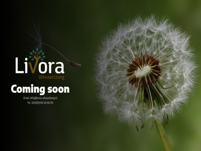 0 00 0031 09 20 495 coming email info@livora-uitvaartzorg.nl livaro son tel