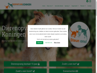 -13290529 -23 0006 0523 06 10.00 14.00 15 15.00 15.30 2018 2026 21 261 401 59 7707 9.30 aanbied aandacht aangenam aankop achterlat acties adoptieprocedur adviser afsprak afwez akkoord algemen allen angstig asiel baasjes balkbrug bestat bestell beter bezoek binn blijv brengen/halen buitenland buitenverblijf comfortabel contact cookie cookies copyright daarom dag dagopvang dier dierenopvang doe draai eig eigenar en/of ervar evenement familie feestdag fijn gat gebruik gebruikmak geknuffeld gekreg geld geopend geplaatst gerealiseerd gev geval gevond grot hand handig hart heerlijk helas hen herplaats hiervor hom hond honderd hoogt huis huiselijk ieder inent info@dierenopvangkoningen.nl informatie ingb jaarlijk jar jarenlang jong juist kat kinder kom komt koning kunt laatst lat lekker lelijk les lez liefd liever ligg link linkjes logeert loger maakt maandag maatschappijwijk mail mak market meerder mishandeld moet mog mogelijk mooi natur nee nem nieuw nieuwsbrief nl26 nod oke omgev onderstaand onlin ontzet onz openingstijd optie opvang organisatie oud ouder pagina pension plann plekjes policy privacy privacyverklar recht red reden reserver s s.v.p sam schrijf send seniorenparadijs sg sharpa som speciaal special sponsorklik stabiel steun t.b.v t/m telefonisch terug thuis tijd tijden tnrc toestemm totdat tuss uiteraard uur vak vakantie vakantieperiodes veccio veilig verblijf verblijv verdien verklar verschill vertrouwd verwaarloosd verzorg via vind vindt volgend voorwaard waardor war warm websit webwinkel wel welkom wer wet wij wilt wist zaterdag zet zien zoekt zon zorg zovel zwerfdier