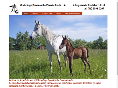 0267 06 1901 2091 berkelland borculosch bov contactgegeven gemeent gesteld hom info@paardenfondsborculo.nl informatie kijk menu nabij omgev onderl paard paardenfond paardenfondsborculo.nl pony premies s sind tel u.a verzekeringsmaatschappij vrag websit welkom werkt