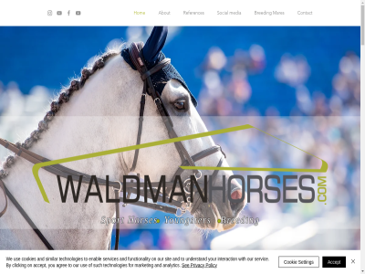 +31 0 1.60 1998 2 2022 25008286 3755 55436579 6 6.21.64.77.98 about accept achiev after agree alan alan@waldmanhorses.com all analytic and attainabl bought breeder breeding by ca can channel clicking contact cookie cookies correspondenc created dealer did during eemnes email enabl europ european every facebok flew follow for full functionality geerenweg get goal graduat he highest his hit hom hop hor horses i ifat info@waldmanhorses.com instagram intention interaction it knew known kvk m mad malibu many mares market media money mor my netherland nl810832422b01 nm not offic on or other our pepperdin phon photography policy privacy program purchased read references road s see sell selling servic services setting sev showing similar sit social som sport states stock story such technologies tel that the their them this through to tok touch trailer trainer trip truck understand university us use vat/btw waldman we which with you youngster your zohar