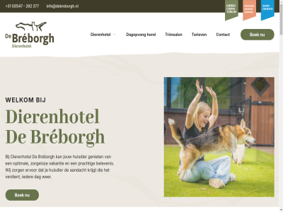 +31 0 2024 292 377 547 aandacht agency belevenis boek breborgh contact copyright creativ dag dagopvang dierenhotel ervor geniet hond huisdier ieder info@debreborgh.nl jouw krijgt merqo ontwerp optimal prachtig realisatie tariev trimsalon vakantie verdient welkom wer wij zorg zorgeloz