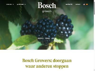 +31 0 02 10 176 1854 2026 2665 40 522 72 all ambitie ander bedank bedrijf bedrijfsvoer beeld bekijk bereik berkel berries bezoek bleiswijk bosch bram bramenplant brengt contact copyright creativ data doorgan eerst ervar familiebedrijf fascinatie filmpj flexibel gan gebied generatie gesprek geteeld gevestigd gezell gezond glastuinbouw glastuinbouwondernem goed groen groep grower hel hightech hightechtuinbouw hoekeindseweg iederen info@boschgrowers.com inmiddel innovatie innovatief internationaliser japan jar jij jong kennis kennismak kernwaard kerstontbijt kerstpakket kh knelpunt koppel ler les lop mak men mens milieu mind ministerie modern moment ondernem ontbijt ontvangt ontwikkeld onz oog paprika person plant product realiteit rijk rodenrijs s sam samenkom sector sind smaakvol speax specialist stagiair stap sted stopp t talent team techniek toekomst toekomstgericht toont traditionel traines tuinbouw tuinbouwprofessional tuss uiterst vacatures vak veilig verder voedsel war warm we websit werk wij will zesd zet zien zoal zoekt