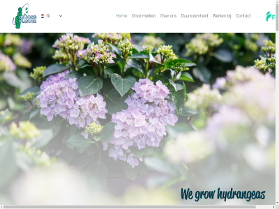 +31 0 11 115 172 1978 2026 210 2771 a aanbod aanbodslijst aanleverroutes aflever afnemer afsprak alfensvaart allemal allen arbeidsnorm assortiment automatiser bedrijf behoeft bekendst bekijk belicht benieuwd bent beroemd best bestell betekent bied bijvoorbeeld binn blijv bloeiend bloem boskop bouwmarkt bred buitenland by catalogus chauffeur complet consument contact continu crer daarnaast dag denk deur ding download drijft duurzam een eig eindproduct eis en enthousiasm ervar ervor exportbedrijv extern extra familiebedrijf floriday focuss for format gap gebied gebruikmak gebruikt gecertificeerd geleid gemen gen genetica geniet geproduceerd geteeld gev gevestigd geweld gewenst grag groei groothandelar groothandelsbedrijv grow hecht hel hierdor hom hoogst huis hydrangea hydrangeas ieder info@dejongplant.nl innovatie inspiratiefoto international invester jarenlang jij jong jouw kennismak klant klar kom kwaliteit kwaliteitsproduct kweker kwekerij lang lat les lever liefd mail mak market materiaal material media mee meegroei meest mens merk milieu mogelijk mooist mps natur nauw nieuw nl nm not ondersteun onlin ontstan ontvang ontwikkel onz oog open opgesteld partner passie plant plezier pos pos-materiaal prachtig privat proces producer product professionel regelmat regulier rustig s sales sales@dejongplant.nl sam samenwerk selecter sind social soort specialist sq stan stapp sterk succesvoll team tel tijd toekomst tol topkwaliteit totaalpakket trot tuinbouwsector tuincentra tuinder vanuit veilig verder veredelar verhal verkop vernieuw verschill verwarm voldoen voldoend volg voorkeur voorziet waard waarmee war we websites webwinkel wekelijk wen werk wij winkelvloer zet zien zit zoal zorg zorgt zowel