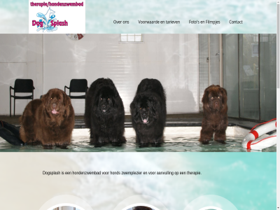 00 06 09 14 17 20 24 29730688 29c 30 9524 aansprak aanvull adres afsprak all bad behandel betred beweg buinerven chloorvrij contact copyright dinsdag dogsplash donderdag e e-mail eig eigenar enig filmpjes fimpjes foto fun geslot gesteld gev gewon hond hondenzwembad info@dogsplash.nl lat les maandag mail manier noorderstrat openingstijd pd phon recht risico s schad tariev terrein therapeut therapie verantwoord verder verlies volg voorbehoud voorwaard vrijdag warm water we wel werk wij woensdag zaterdag zondag zwemplezier