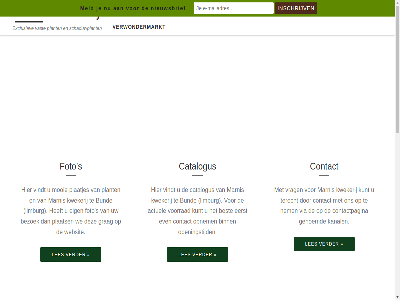 13 14 19 2 20 2025 2026 21 22 3 4 aangebod actuel agenda all best bezoek binn bund catalogus contact contactpagina customizr eerst eig even exclusiev februari foto ga genoemd geopend grag groep inhoud juni kanal kijk kleur kunt kweker kwekerij les limburg link maart marnis mei meld mooi nem nieuw nieuwsbrief november ontworp openingstijd opnem paasdag plaatjes plaats plant plantenmarkt recht s schaduwplant september terecht thema twed vast verder verwondermarkt via vindt voorbehoud voorrad vrag we websit winter wintersluit wp zaterdag zomermarkt zondag