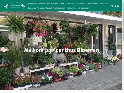 -6910354 035 1401ex 19 abonnement acanthus actief adres aflever algemen bedankt bekend bent bestell betal beterschap bezorg bijzonder bloem bloemenwinkel bloemist bloemstuk boeket bruiloft bussum contact cookies deutsch disclaimer echt english español ffp français geboort gericht herfstboeket informatie italiano jar juist kies klantenservic kleur kop lat liefd markt midmid mooi nederland omgev onlin onz plukboeket poststrat privacy rouwbloem rouwwerk roz seizoen stat succesvol tal topbloem veilig verjaardag volg voorwaard wdeboer29@hotmail.com welkom wij wilt winkel zakelijk zien