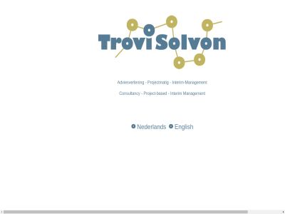 adviesverlen based consultancy english interim interim-management management nederland project project-based projectmat trovisolvon