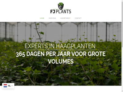 365 assortiment bekijk belang bepal best binn blijft contact dag danny duurzam expert fj fj-plant gekweekt grot haagplant hom innover jar klant kwaliteit lang markt natur nl ogen past per plac plant s standaard termijn visie volumes wijz