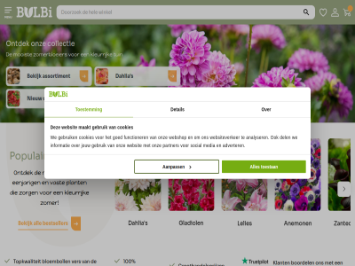 1 100 13428 2 3 4 4.7 5 8 aanpass adverter all analyser anemon assortiment bekijk beoordel bestseller bloeigarantie bloemboll boordel bulbi collectie cookies dahlia del detail eenjar functioner gebruik gladiol goed groothandelsprijz informatie jouw klant kleurrijk kop kweker lelie lelies maakt media meest menu mooist nieuw onlin ontdek onz partner plant populair s seizoen social soort t toestan toestemm topkwaliteit tuin vast ver we webshop websit websiteverker zantedeschia zomer zomerbloeier zorg
