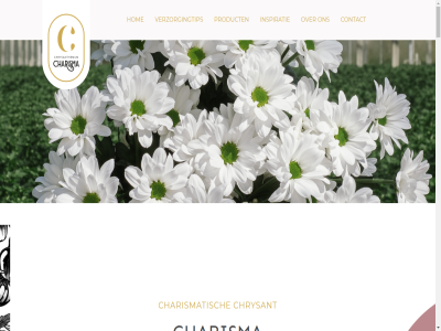 5305 6 aanwez actief af assortiment attraction beetj beperk betover bied blad bloei bloem bloemstuk boeket bronn charisma charismaflowers.nl charismatisch chemisch chrysant co constant contact content continuiteit dankzij deskund ding duurzam eenmal eerst elegant energie exclusiev exclusiviteit extra flower focus gebruik gegeven gekocht gespecialiseerd gevoel goed groeimiddel groeiproces hel herk hom hoogwaard houdbar ieder insect inspiratie international kasklimat kleur kweekproces kweker langdur lat lever ligt mak meest mes meten middel milieu milieuvriend minimum missie modern moeilijk mogelijk moment national natur natural nauwkeur net onderscheid ondersteund onz opnieuw optimal overtoll par per person plek product raszuiver reductie rijk sales@charismaflowers.nl schadelijk scherp schon schuin skip snijbloemenvoedsel snijd sommig spreekt stek stel stimuler strev studioblauw talrijk team teeld teelt teelttechniek to toe topkwaliteit uiteenlop uitstek uitstral uniek uur vaaswater vakmanschap vas vat vc verdient verdrietweg vermed vermijd verver verwerk verwijder verzorg verzorgingtip vijand visie voeg voelt vol vorm waarmee warmtekrachtkoppel water we wek wel wij wijz wkk woord zegg zet zoal zon zonlicht zorg zuig zuilichem