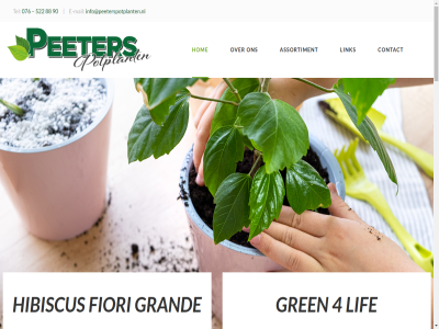 -522 076 2022 4 4839 49b 522 75 88 90 ah algemen alocasia assortiment bedrijf bekijk bestrijd bestrijder biologisch breda calathea chemisch complet consument contact copyright daarnaast direct drielindendref dubbel e e-mail email energiebespar ficus fiori geproduceerd gev gietwater grand greensales gren handelar hergebruik hibiscus hom ieder info@peeterspotplanten.nl informatie interessant inzet inzicht komt kunt lat les lif link linkj mail maximal med menu middel minimaliser nieuw ondersteunt onz opnem peeter plant plezier potplant privacyverklar recirculatie restwarmt scherm sit stookpatron strelitzia stroomproductie tel terecht verkop verzorgingstip vind volled voorwaard vrag warmt warmtekrachtinstallatie we websit wens wij word zamioculca zien zowel