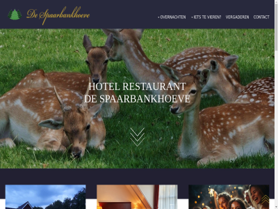-2024 0528 10 189 2022 262 3 5 6 7931 a absolut adres afsprak afstand all best bestell bevind bezoek bijvoorbeeld binnenstad bittergarnitur bon bos buffet cadeau centrum combinatie comfortabel contact contactformulier copyright daarnaast daarvor dansvloer diner dinerbon dwingelderveld eigenar ervar even eventueel extra feest fluitenberg gef gemak gemeentes geopend gev gevoel gewenst gewerkt grag groep grot helemal hertenkamp hoeven.in hoogeveenseweg hoogeven hotel hotelkamer houdt ieder info@spaarbankhoeve.nl informatie ingericht juist kamer karakteristiek ker keuk kijk klein koffietafel koud kwaliteit len lever liefst liever ligt maandag mail mak menu middengrot milion minut mogelijk mooi national nederland nem nieuwsgier omgev openingstijd overnacht pagina park passie per perfect reserver restaurant rust s smil spaarbankbos spaarbankhoev sterk stoel swingend t/m tafel td telefonisch tennisban terras trouw tuin uitgebreid uitgelicht uitgeroep vergader vier voorzien vriendelijk vrijblijv waard wandelroutes warm wij wilt winkel worth zal zalencentrum ziet zoal zomermaand zondag