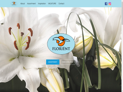 about and any assortment availabl by colour comment contact content dat development facebok fel florient free grown inspir inspiration latest let lik lilies mor now nursery on or passionately pleas question rang shapes skip stay the their them thes to tyler up us vacatur wid you