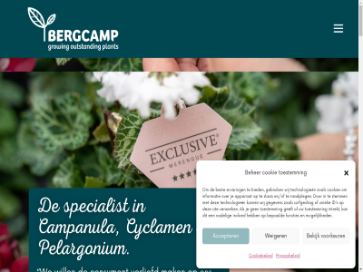 +31 12 174 2022 2026 3 51 80 85 aandacht accepter addenda afwissel all altijd apparat arbeidsvreugd assortiment begroet beher behor bekijk belang belangrijk bepaald bereik berg bergcamp best bied binn blij blijf bloei campanula consument contact continue cookie cookiebeleid cookies cyclam den design dienst doelstell drempel en/of ervar exclusiv facebok facet familiebedrijf floriday functies gat gebruik gedur geeft gegeven gekweekt gelijk gelov gev goed grag groeit groet grot growing hel hieronder hog hom hoogt houd houdbar id immer info@bergcamp.nl informatie inhoud inschrijv instagram intrekt invloed kijk kleurrijk klik komt kun kwalitatief kwaliteit kwaliteitsniveau kwekerij lier lif long mak market medewerker mee meest merendel modern moet mogelijk nadel nagestreefd nieuwsbrief nieuwtjes omschrijv ontdek ontwikkel onz outstand pelargonium person personel plant plantopbouw plezier privacybeleid privacyverklar prober product productieproces raadpleg reken reserved right rijk robert rond ruimt rust s sam schakel seizoen sit slan slogan snel specialist spektakel sprek stemm sterk streeft success surfgedrag suzipedia team technologieen teeltlocaties tegemoet ten tijden toepass toestemm top total transport tuss twee uniek vast verbeter verliefd verwerk vier vind voel voet volgt voorgenoemd voorkeur vul walter wanner we weekplann weiger welk werk werkzam wij wijzelf will winkelvloer wissel youtub zet zin zoal zoek zorg