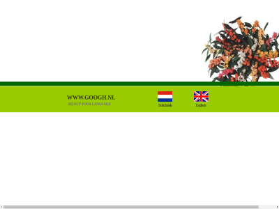 englisch euphorbia fulgen g languag nederland select www.googh.nl your