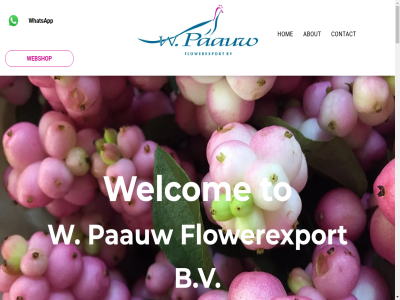 07892 21 2231 40 68 76 a about addition addres also alway an and are as assortment at auction b.v becaus began bloemenveil brother built busines bv by can clos com company component contact continue decided directly dynamic email esmeralda every everyth excellent expanded export family fel floraholland florist flower flowerexport for free fresh from germany germini get greatly grower guaranted guarantee has hav he hear hello his hom important independently info@paauwflowers.nl it joined lik lilies lily located lok manag managed netherland niel nn noordwijkerweg now nursery offer only our paauw personal personally phon plant possibl product purchas purchased quality regularly reputation respon rijnsburg royal s scotland see send servic several so som someth son started still strives supply tak that the then they this to touch up us values very w we webshop wek welcom what whatsapp wher wilco will wim with would www.paauwflowers.nl you young