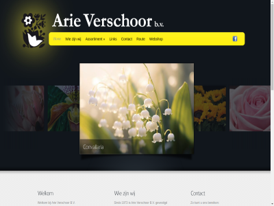 +31 +6 -2015 0 00 0174 02 05 1 174 1973 2000 2013 2436 2675 27216544 29 32 4651 5 62 63 92 a aanbod aangepast actuel all arie assortiment b.v bedrijf bekijk belever bereik beschik best bestat bestel blijv bloem bloemenveil bloemist bred burg cd contact daarnaast dagelijk dal decorateur decoratiematerial del denk dijkzijd direct diver doe droogbloem e e-mail ernar ervor exclusiev exotisch exporteur finetun flora gedroogd gedur gehel geschenkverpak gespecialiseerd gevestigd gloriosa groothandel grootst hen holland holland-naaldwijk hom honselersdijk houd ieder importer info@arieverschoor.nl informatie inkoopkanal inkoopservic inkop inkoper interieur interieur-stylist intern jar klant klar kop kort kunt kvk land lelie lever lijn lijnrijder link loonstrat mail mak medewerker mee meerder middelbroekweg mocht mogelijk n naaldwijk natur oasis onz opnem orchideeen postadres privacyverklar product relaties rout ruim scherp seizoen sind sit snijbloem soort stan steenberg stephanotis strat stylist tel ten tijd toe totaalpakket uitgebreid uur vanaf vanuit ver verschill verschor versproduct via vind voldoen vrag waardor we webshop welkom wens wereld werkdag wij z zer zn zoal zodat zoek zorg zorgelos zowel zt