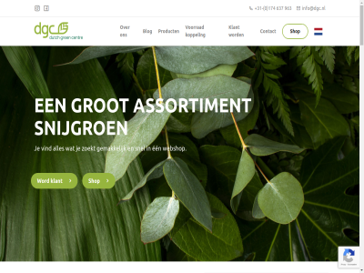 +31 0 174 2026 2675 279 280 281 282 637 963 algemen assortiment blog centr contact copyright dgc dock dutch een floraholland ga gemak gren groenisdebasis grot honselersdijk info@dgc.nl inschrijv jupiter klant klantenformulier koppel link lw media naaldwijk nieuwsbrief privacy product shop snel snijgroen social statement via vind voorrad voorwaard webshop word zoekt