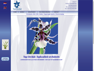 mini mix orchid orchideeen plantverzorg stadia toegevoegd top top-orchid topkwaliteit waard websit