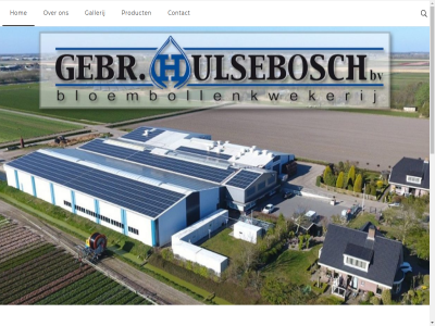 1 1998 2019 aanvull afbeeld album allen allerlei assortiment b.v bedrijf begev beheers behoud bestat bijbehor bloemboll bloembollenassortiment bloembollenbedrijf bloembollenkweker bloembollenkwekerij camassia cock consument contact contractnemer crocuss daarvan del dienst directie eig elk erop exporteur foto frank gallerij gebroeder gevestigd gewass groet grot hiernaast historie hoger hom hulsebosch informatie internetsit januari jar kort krijg kunt kwaliteit kwekersveren lelie lever markt modern najar narciss nick niveau onz opgenom opmerk opnem particulier prober producer product productie professionel ron s sam samenwerk schagerbrug sind sit soort stat stell stelt tabblad teeltplan tel tentoonstell treft tulp uitzendbureau verder verschill vertrouw verwijz via vindt voornam voorzien vrag vriendelijk waardor wanner we welkom werking werkzam wet wij wilt zer zie zomer