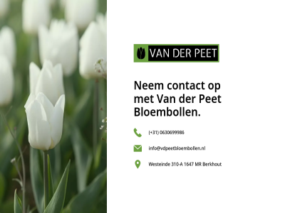 +31 0630699986 1647 310 a berkhout bloemboll bloembollenbedrijf contact info@vdpeetbloembollen.nl mr nem pet specialist tulp westeind