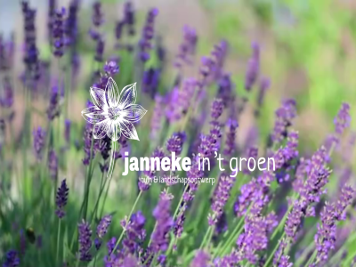 groen jannek t